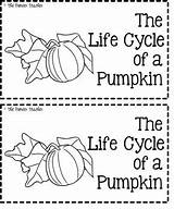 Pumpkin Booklet Cycle Life Kids sketch template