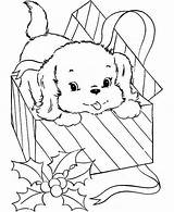 Coloring Box Present Dog Pages Cute Color Puppy Came Little Drawing Christmas Puppies Dogs Gift Turtle Kids Animal Chocolate Getdrawings sketch template