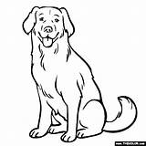 Labrador Lab Coloring Retriever Golden Pages Yellow Dogs Dog Drawing Puppy Color Line Chocolate Colouring Sitting Online Draw Printable Thecolor sketch template