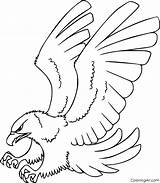 Hawk Printable Coloringall sketch template