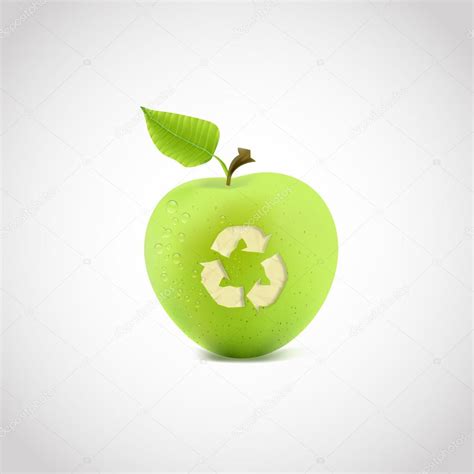 apple illustration recycle symbol stock vector  droidworker