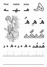 Arabic Haa Letters حرف Alphabet الهاء First Worksheets Handwriting Words Tracing Kids Printable Choose Board Learn sketch template