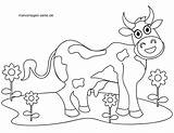 Kuh Malvorlage Ausmalbild Kühe Für Koe Kleurplaten Boerderij Kinderbilder Komputer Ando Bauernhof sketch template