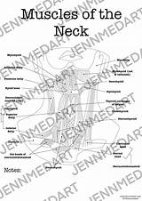 Human Coloring sketch template