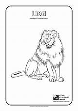 Coloring Pages Cool Lion Mammals Animals Mammal Print Getcolorings Cow sketch template