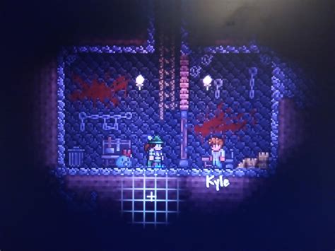 My Room For The Guide 😁 Terraria