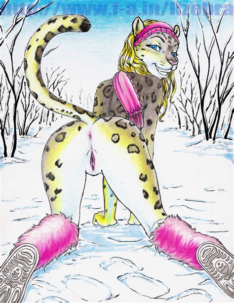 Rule 34 All Fours Anthro Anus Bottomless Clothed Clothing Feline