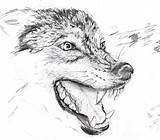 Angry Wolf Drawings Wolves Deviantart Sketch Loading sketch template