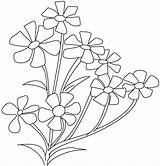 Flower Coloring Pages Small Breath Jasmine Periwinkle Drawing Plant Color Flowers Babys Cosmos Parts Opposites Spinach Drawings Printable Getcolorings Roses sketch template