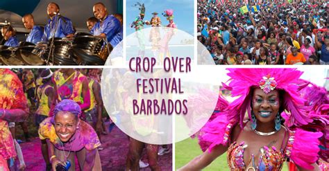 Crop Over Festival Barbados Bougainvillea Barbados Blog