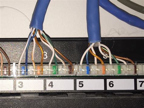 networking terminating cat   patch panel super user