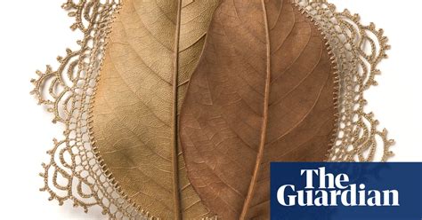leaves become intricate crochet art in pictures life