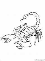 Scorpion Coloring Pages Crayfish Colouring Print Getdrawings Color Clip Kombat Mortal Pasta Escolha sketch template
