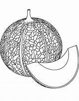 Melon Coloring Pages Cantaloupe Template Kids sketch template