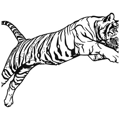 bengal tiger drawing    clipartmag