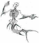 Mermaid Skeleton Dressed Spades Drawing Deviantart sketch template
