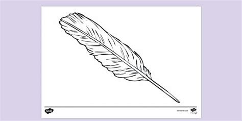 printable feather colouring page twinkl
