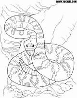 Coloring Pages Viper Rattlesnake Desert Snake Dangerous Color Yuckles Snakes Colouring Cool Animals Getdrawings Printable Getcolorings Comments Scene sketch template