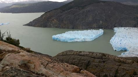 iceberg breaks  chiles grey glacier experts   larger