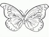 Pages Butterfly Coloring Color Butterflies Printable Kids Cartoon sketch template