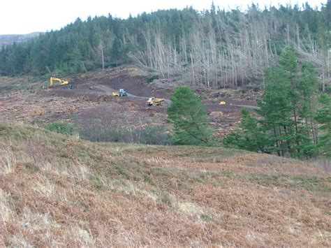 clear felling  hinnisdal forest  dave fergusson geograph britain