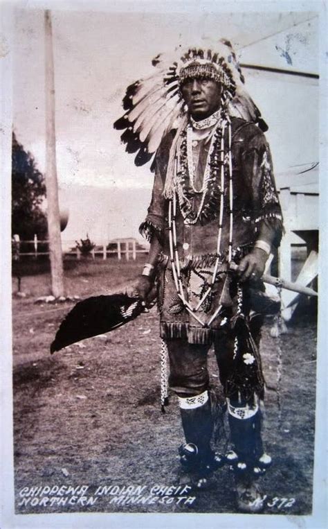 Chippewa Chief Native American Indians Native American Beauty