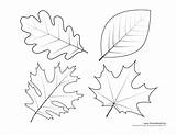 Leaf Oak Template Drawing Outline Printable Pattern Paintingvalley sketch template
