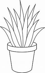 Plants Plant Aloe Vera Pot Line Drawing Clipart Clip Potted Cliparts Coloring Drawings Pages Plantas Flower Indoor Desenhos Clipground Para sketch template