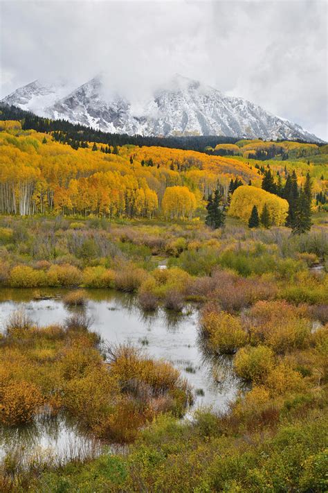 Kebler Pass Fall Colors Photograph By Ray Mathis Pixels