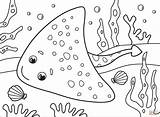 Stingray Supercoloring Dot sketch template