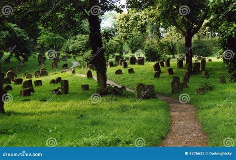 joodse begraafplaats stock foto image  dood landschap