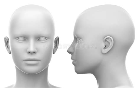blank white female head side  front view spon female head