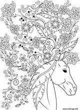 Coloring Adulte Stress Cheval Sublime Horses Relieving Gratuit Malvorlagen Erwachsene Mandalas Primanyc sketch template