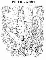 Rabbit Peter Coloring Potter Beatrix Pages Colouring Printable Sheets Kids Print Printables Color Easter Friends Book Gardening Books Bunny Sheet sketch template