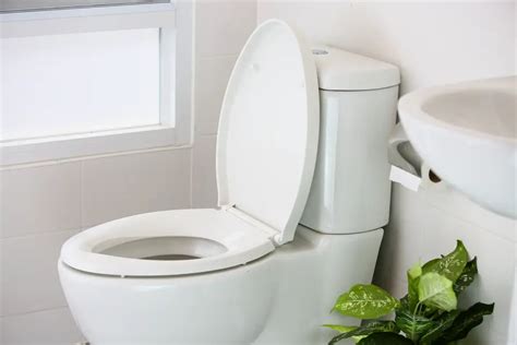 pressure assist toilets reviews rankings