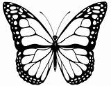 Kupu Schmetterling Ausmalbilder Schmetterlinge Mewarnai Mandalas Genial Schmetterlingen Tercantik Frisch Erwachsene Muster Neu Vorlage Kumpulan Lukisan Okanaganchild sketch template