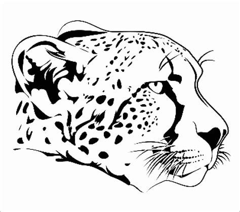 realistic cheetah coloring page coloringbay