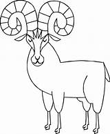 Sheep Mewarnai Bighorn Domba Tanduk S1599 sketch template