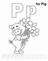 Coloring Pig Color Sheet Handwriting Bestcoloringpages Practice Pages 출처 Comments sketch template