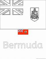 Bermuda sketch template