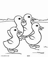 Duck Kaczka Ducklings Druku Ausmalbilder Enten Kolorowanka Kolorowanki Ente Ducks Dziwaczka Cool2bkids Ptica Bojanke Ptice Kindergarten Patka sketch template