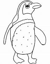 Penguin Coloring Printable Pages Cute 2550 Posted Size May Popular King sketch template