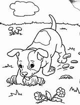 Coloring Pages Dog Puppy Realistic Boxer Baby Dogs Digging Kids Animal Hole Funny Print Color Lab Drawing Colouring Printable Outline sketch template