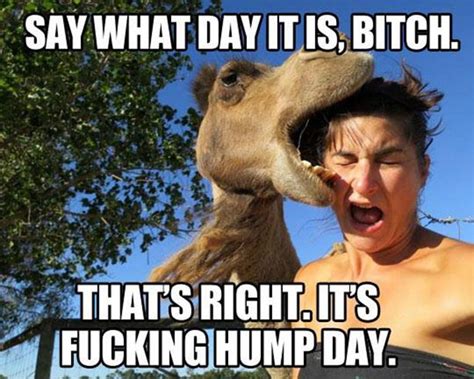 Happy Hump Day Funny Pictures Photo Fails Selfie Fail