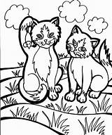 Coloring Cat Pages Color Printable Animal Year Old Girls Animals Print Iriomote Kids Sheet Kitty Cats Kitten Adults Clipart Fun sketch template