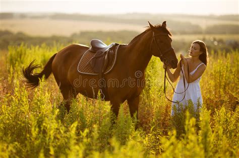 pferd und equestrienne stockfoto bild von gras ackerland 21573504