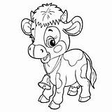 Cow Coloring Pages Baby Calf Cartoon Cute Printable Adults Top Getcolorings Drawing Little Color Online Print Getdrawings sketch template