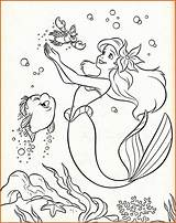 Coloring Pages Seaweed Getdrawings sketch template