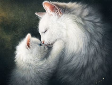 cats cat kitten hug love hd wallpaper peakpx