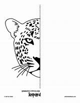 Symmetry Worksheets Drawing Kids Worksheet Cat Half Coloring Grid Pages Face Hub Easy Finish Complete Tiger Printable Leopard Line School sketch template